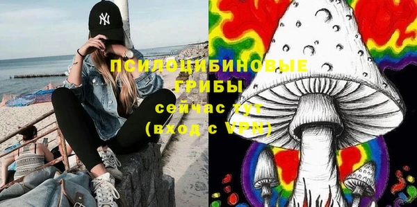 шишки Балахна