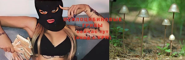 jwh Белокуриха