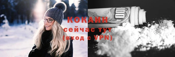 шишки Балахна