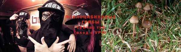 MDMA Premium VHQ Аркадак